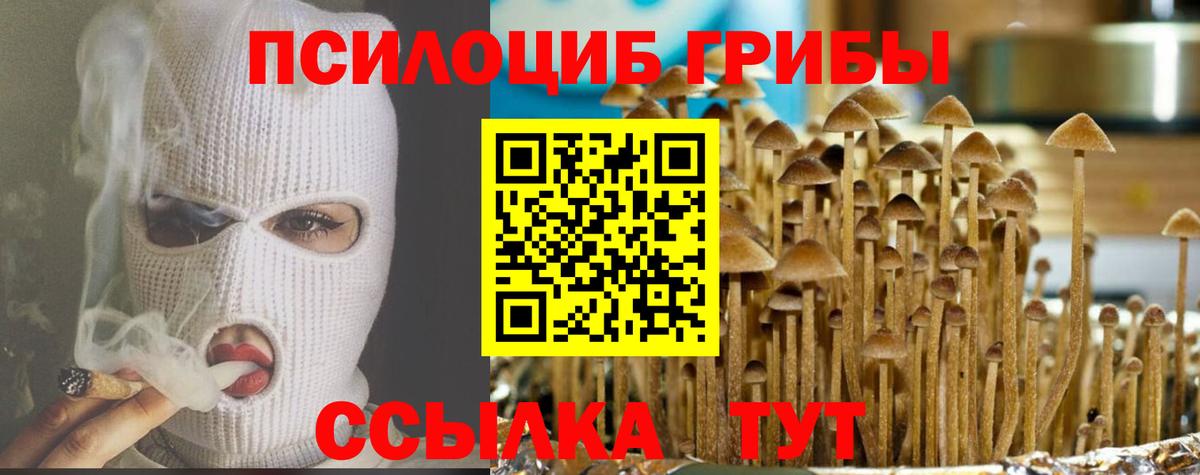 Галлюциногенные грибы GOLDEN TEACHER Тосно
