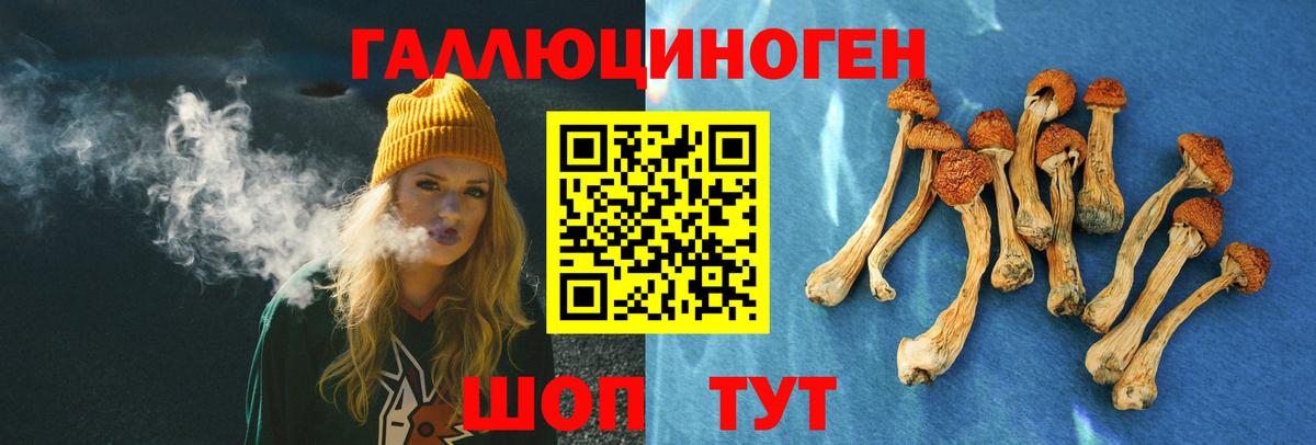 Тосно  Галлюциногенные грибы ЛСД  Вход с VPN  Псилоцибиновые грибы прущие грибы 